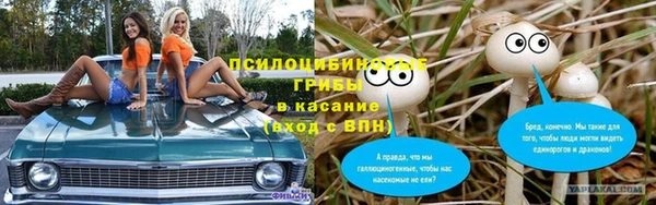 твердый Алзамай