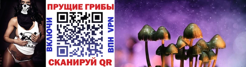 наркошоп  Дубовка  Галлюциногенные грибы Magic Shrooms 